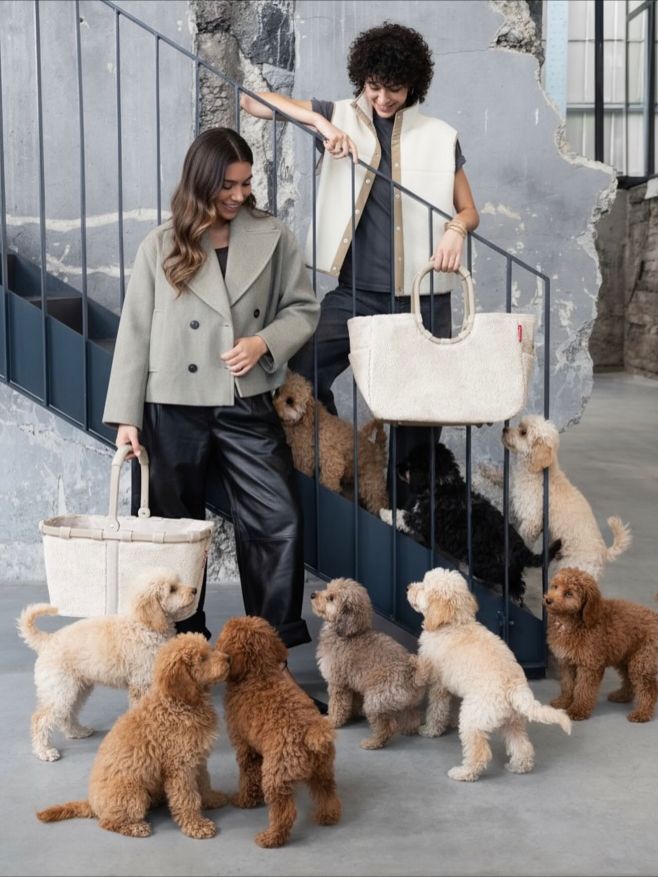 Žádné štěňátko není tak mazlivé jako naše kolekce Teddy 🐻😍 Takové focení by byl náš sen 📷📸 #reisenthel #teddy #sand #leo...